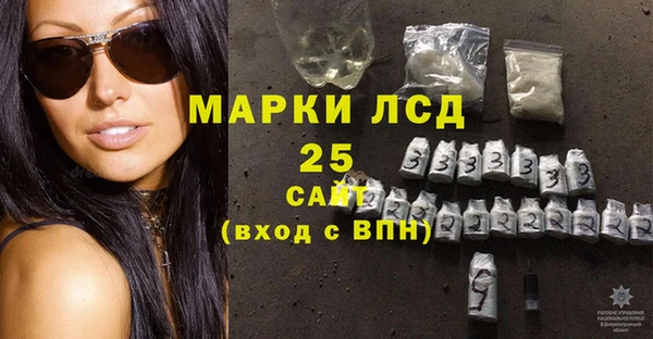 индика Тайга