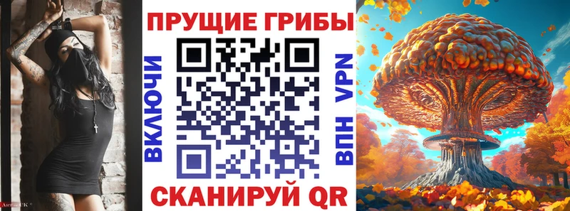 Псилоцибиновые грибы GOLDEN TEACHER Бежецк